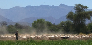 Dinámica Rural (extracto)